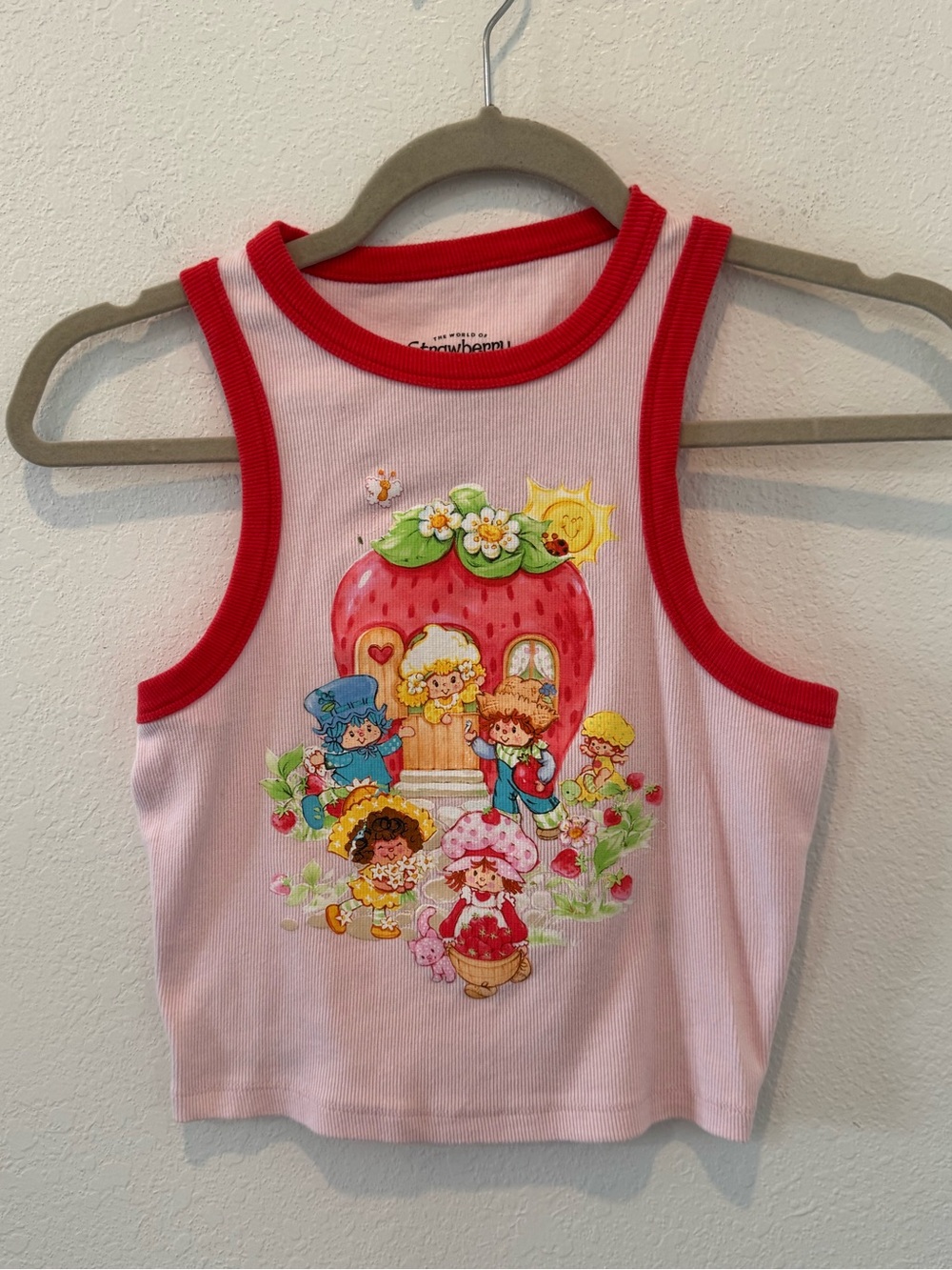 Strawberry Shortcake Graphic Tank Top Pink juniors small
